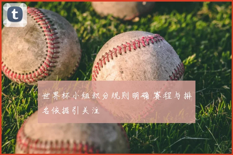 世界杯小组积分规则明确 赛程与排名依据引关注